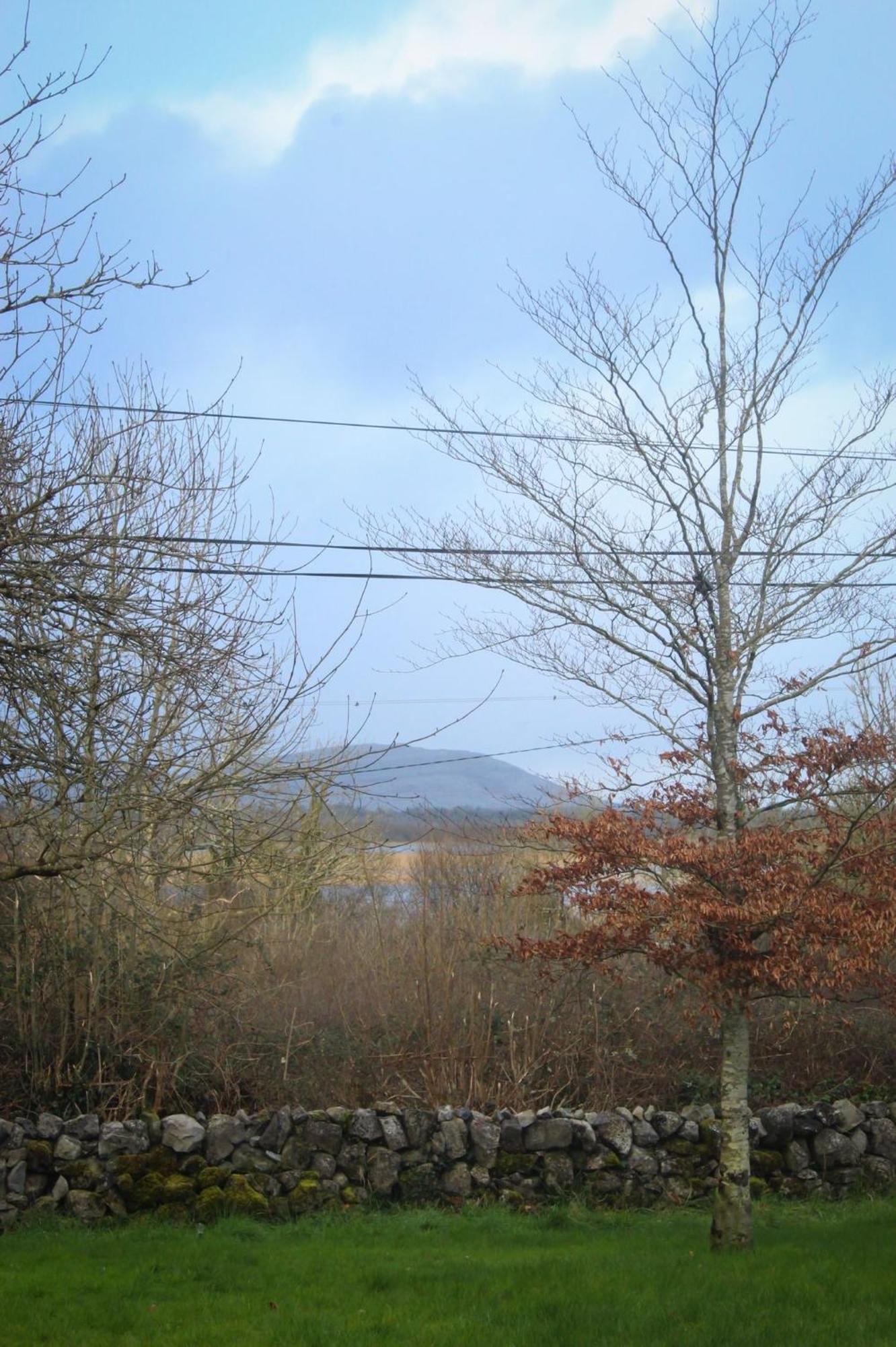 Riverside Cottage In The Burren Corofin  Eksteriør billede