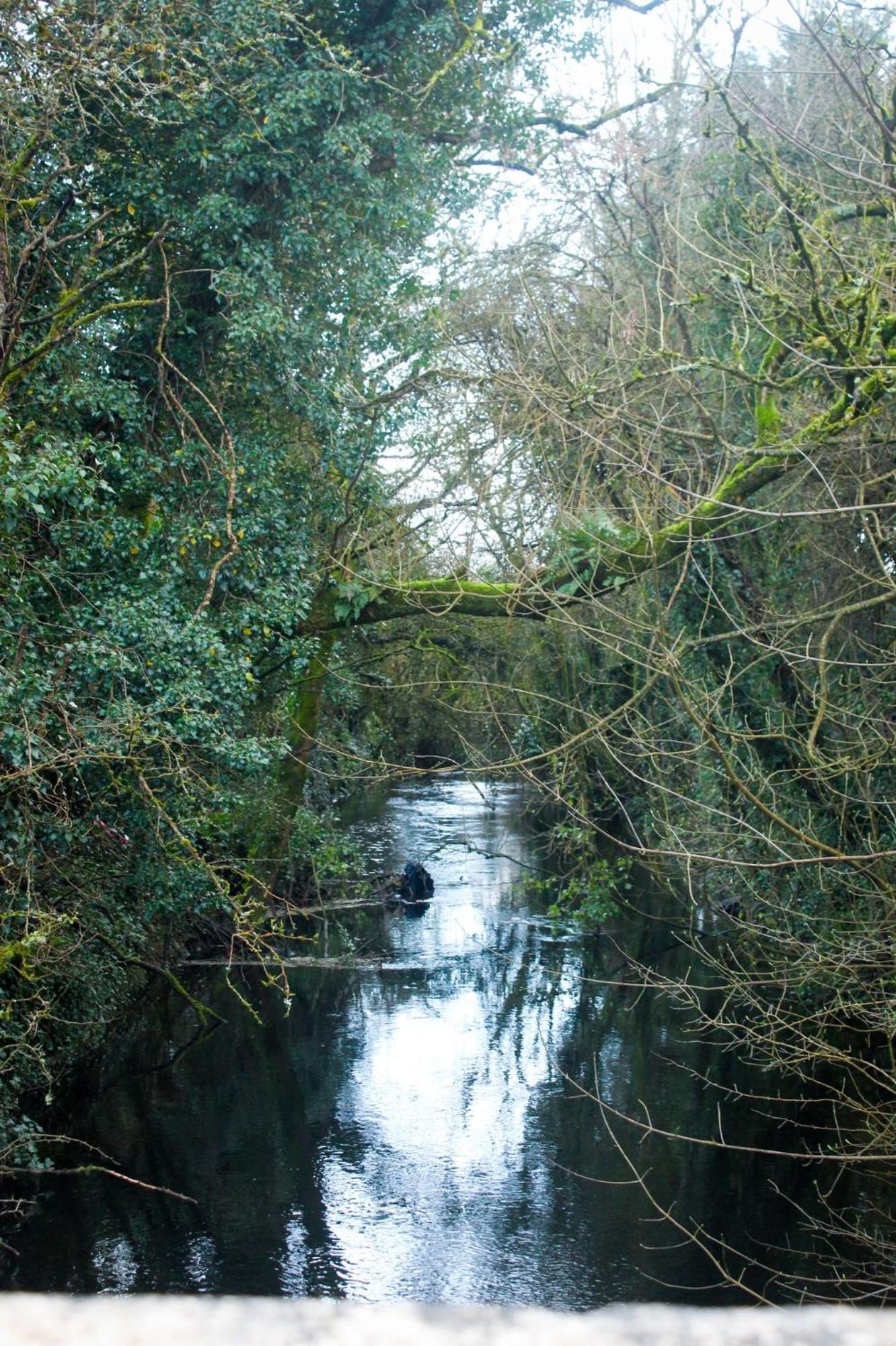 Riverside Cottage In The Burren Corofin  Eksteriør billede